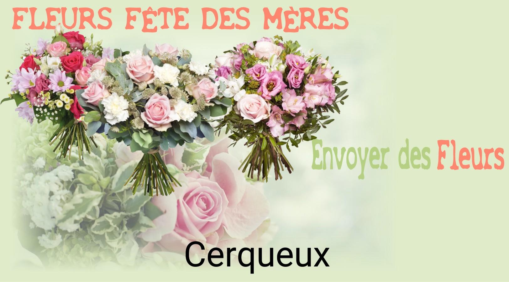 Bouquet de Fête des Mères livré à Cerqueux